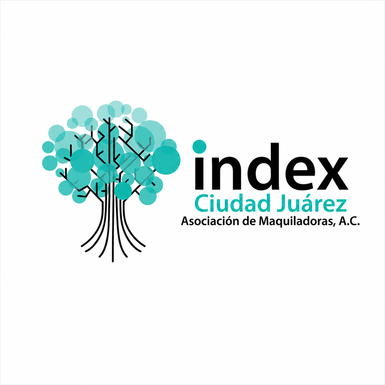 My Website